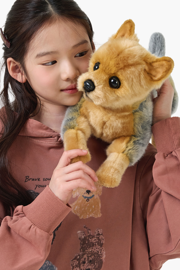 �����̴�